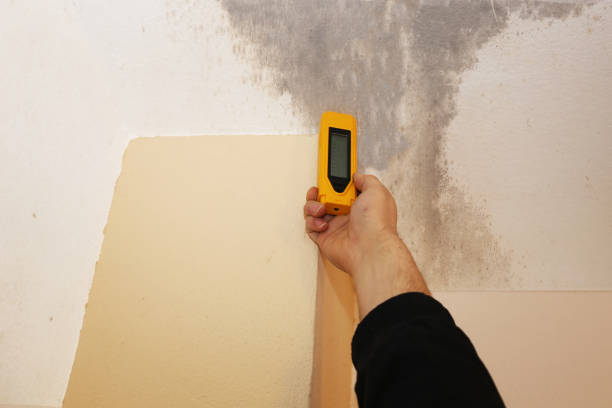 Best Mold Remediation for Healthcare Facilities  in Ridge Wood Heights, FL