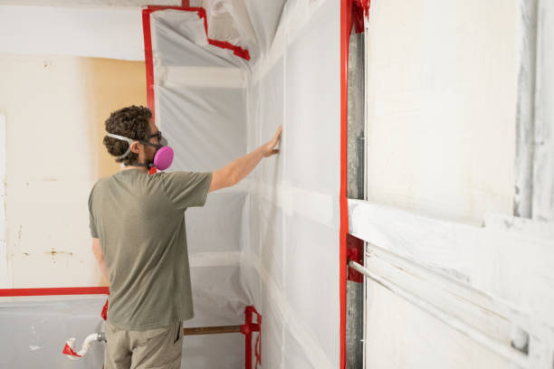 Best Basement Mold Removal  in Ridge Wood Heights, FL