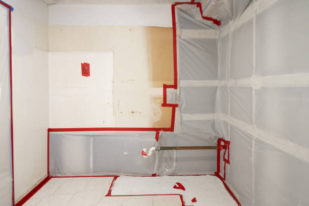Best Real Estate Mold Inspection  in Ridge Wood Heights, FL