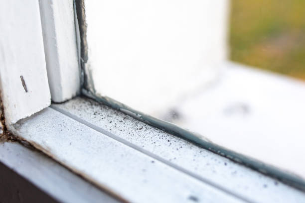 Best Indoor Air Quality Assessment  in Ridge Wood Heights, FL