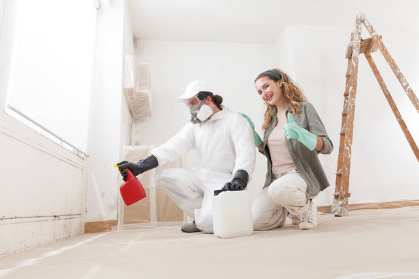 Best Post-Construction Mold Inspection  in Ridge Wood Heights, FL